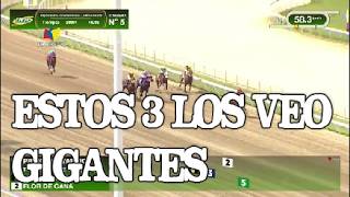 Estos 3 Ejemplares Los Veo De ROBO en el Primer Vistazo