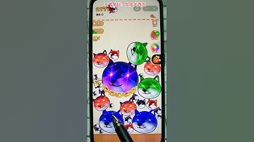 #合成大西瓜 合成狗头也太好玩了吧！#手机游戏 #游戏解说 #游戏 #游戏实况 #游戏试玩 #游戏鉴赏官 #休闲游戏 #学生党 #小游戏 #益智游戏