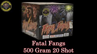 Fatal Fangs | 500 Gram 20 Shot Firework | Dragon Blade Fireworks