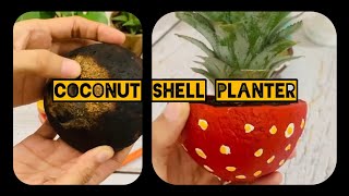 Coconut shell planter | reuse waste material | in just 1 minute | decor item