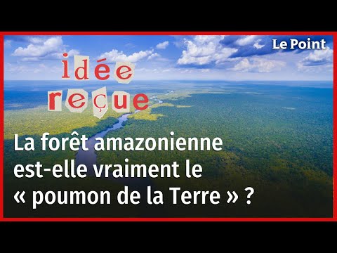 Vidéo: Combien de précipitations une forêt tropicale sèche reçoit-elle ?