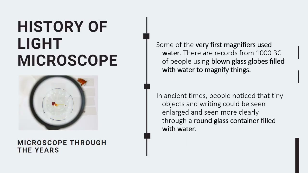 The Microscope | Teacher Chello