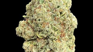 Exotic Indoor THCA, Healies Distro, Daily Deals, Orange County, 1Lb, P1R8-9H1 Gas Face Big, $900/Lb.