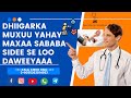 Dhiigarka Muxuu Yahay Maxaa Sababa Sidee Se Loo Daween Karaaa 