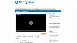 Call To Action Demo Video