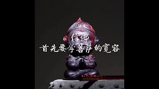 201410 信佛首先要学菩萨的宽容32046