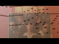 This Town Ain't Big Enough for Both of Us - Sparks - Fairground Organ