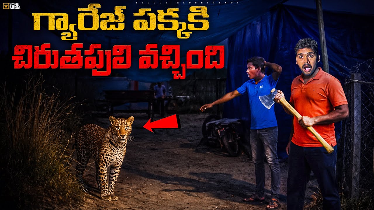 Garage దగ్గరికి చిరుతపులి వచ్చింది😍🔥 Telugu Experiments Vlogs