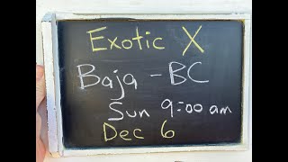Exotic X - Baja-Bc