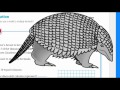 Decimal Multiplication Quiz
