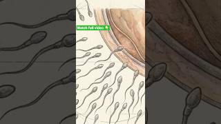 Human Reproduction Part2 . #neet #biology #education #exam #paperleak