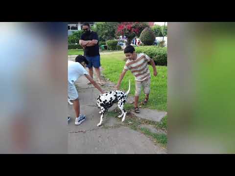 ABDOU BROTHERS HOME TOWN