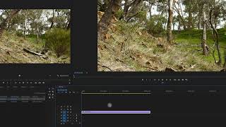 Editing 4K Clips in a 1080p Timeline in Adobe Premiere Pro