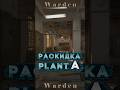 НОВЫЕ ФИШКИ НА НОВОЙ КАРТЕ Warden В CS2 #cs2 #shorts