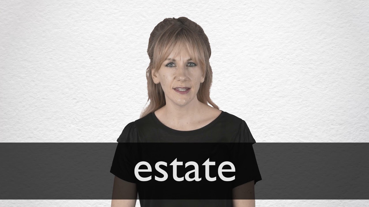 Estate definition in American English | Collins English Dictionary