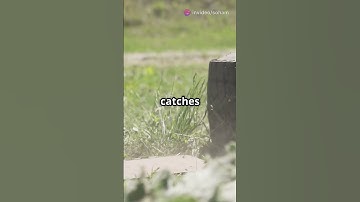 How Bulletproof Vests Actually Work! 🛡️💥