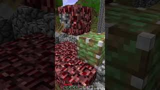 glitched walls in beta 1.7.3