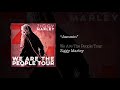 Jammin – Ziggy Marley live | We Are The People Tour, 2017