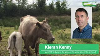 Rush Control and Water Quality screenshot 5