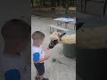 Douglasville Alpaca Farm