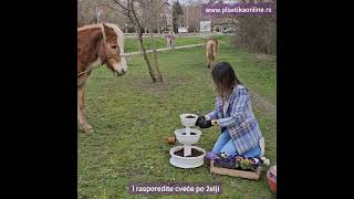 Sadimo Cveće U Pot Saksiji Na 3 Nivoa - Plastika Online