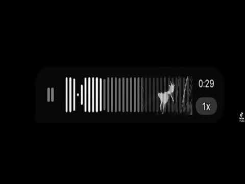 نغمة الضياع 