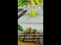 ¡Escucha a tu cuerpo! Cambios intestinales que no debes ignorar.