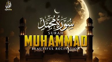 Surah Muhammad سورة محمد | Relaxing heart touching voice | Peaceful Quran TV