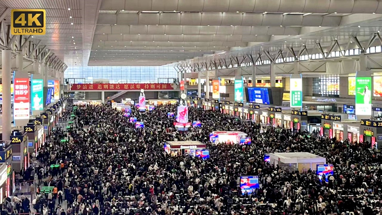 Почувствуйте шанхайский весенний туристический ажиотаж: наблюдайте за миграцией 9 миллиардов человек