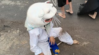 Solah Bant3ng Lembu Joyo Nuswontoro  Ngrancah Senggreng