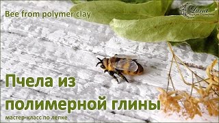 Пчела из полимерной глины / Bee from polymer clay, tutorial