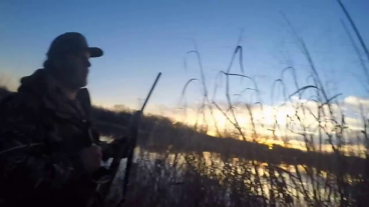Texas Duck Hunt 