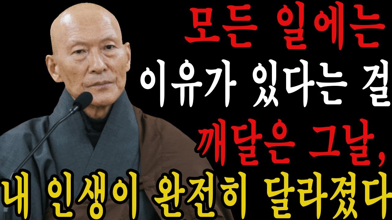 모든 일에는 이유가 있다는 걸 깨달은 그날, 내 인생이 완전히 달라졌다 l 법정 스님 l 부처님 말씀 l 석가모니 l 행복한 노후 l 삶의지혜