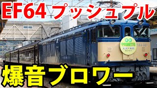 【ダブル・ブロワー音】EF64 0番台プッシュプル＋旧型客車による「中央線紀行号」《下諏訪駅→上諏訪駅》