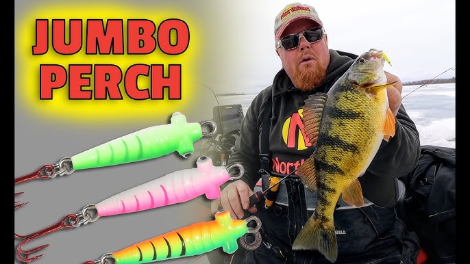 Perch Frenzy (Ice Fishing) - Buckshot Rattle Spoons 