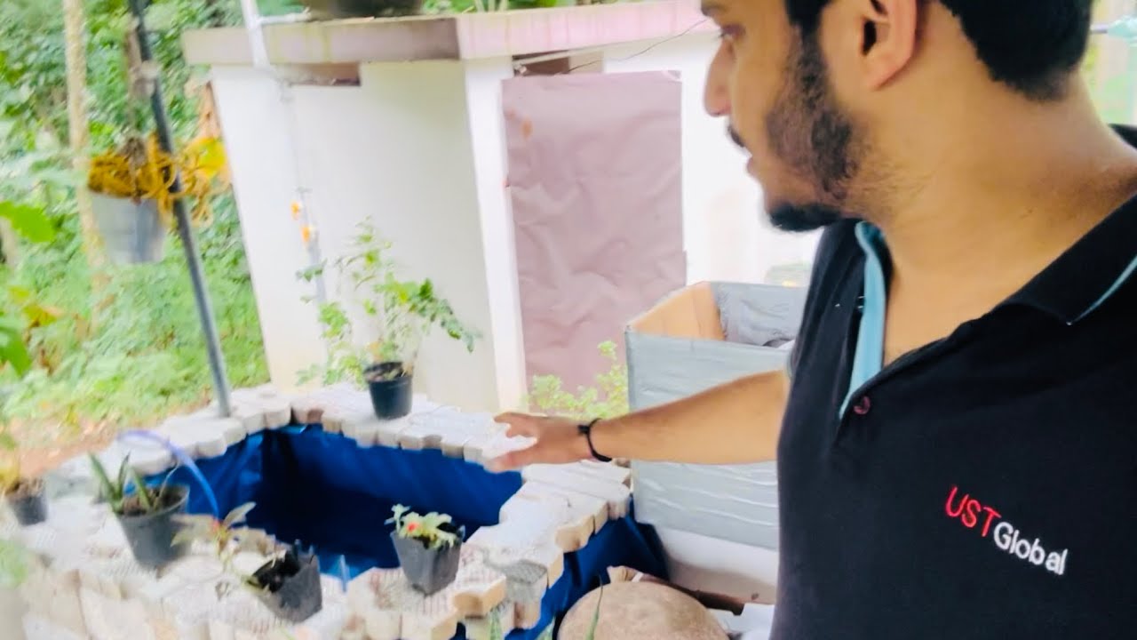Simple Fish Tank Setup That Looks Amazing! How I Built This Beautiful ...