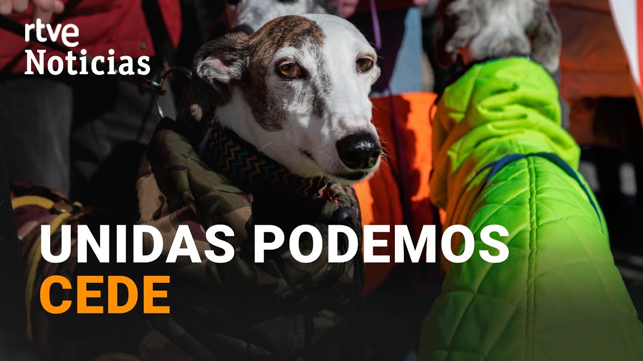 LEY BIENESTAR ANIMAL: ¿Qué pasa con los PERROS de CAZA? ¿Cómo te afecta si tienes MASCOTA? | RTVE