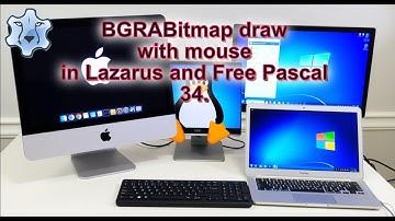 BGRABitmap draw with mouse in Lazarus and Free Pascal #freepascal #lazarus #paint #BGRABitmap