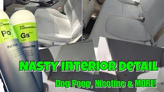 NASTY Honda Interior Dog Poop, Nicotine and More + Testing Koch Chemie Pol Star & Green Star