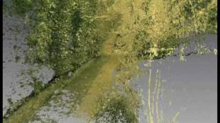 TC1Animation1.mpg