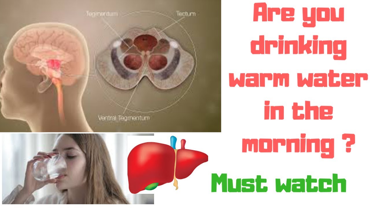 Drinking warm water in the morning drinking warm water drinking