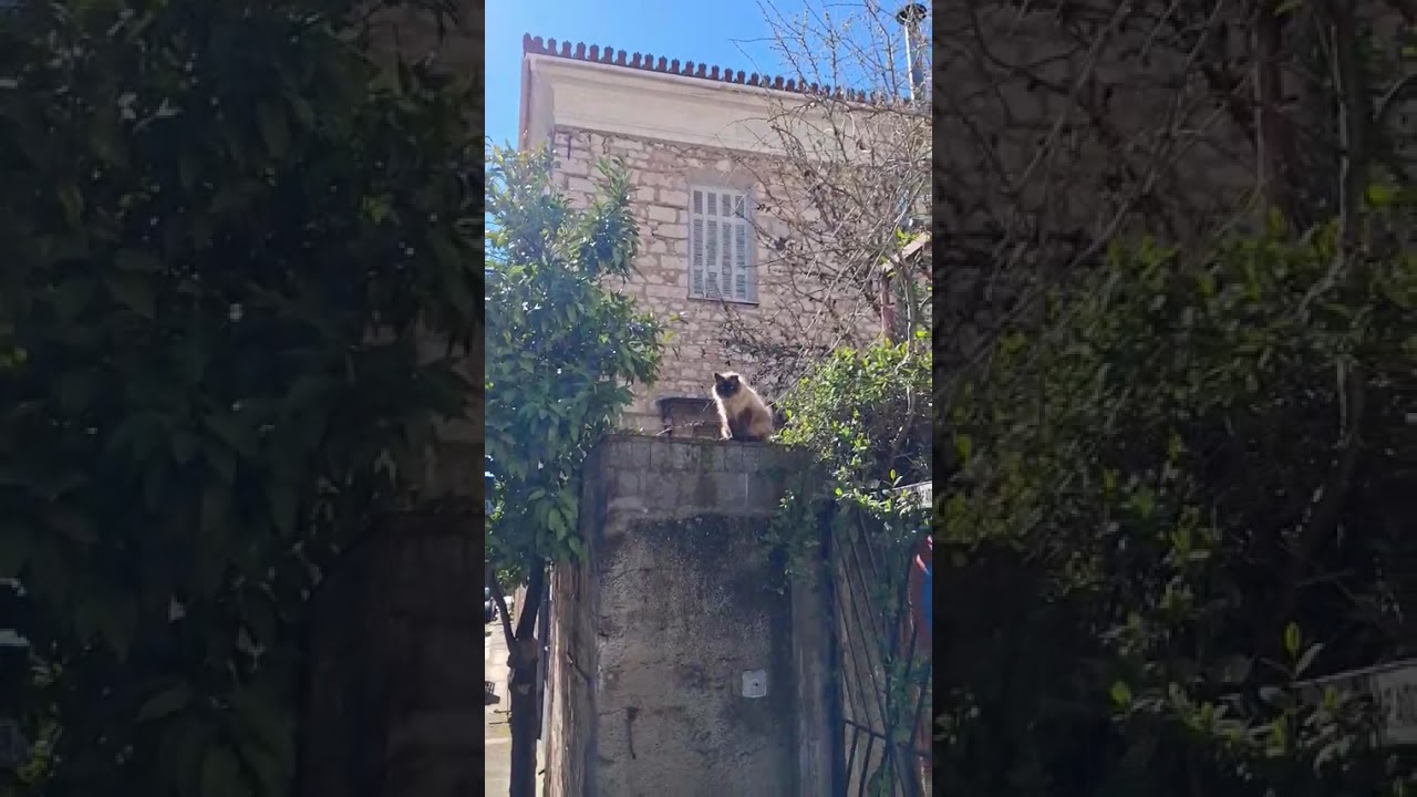 🏛️ 🌿 🇬🇷 ΑΜΦΙΣΣΑ, ΦΩΚΙΔΑ 🌿 🏛️⛰️ 🇰🇷 암피사, 포키다 ⛰️🏺 🇨🇦AMFISSA, PHOCIS, GREECE 🇬🇷 🏺