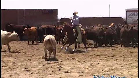Lil Super Dually - KCCHA - NCHA Weekend - June 1, ...
