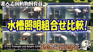 【水槽照明比較】120cm水槽用のLEDを買ったので色々検証してみる!【アクアリウム】【熱帯魚】