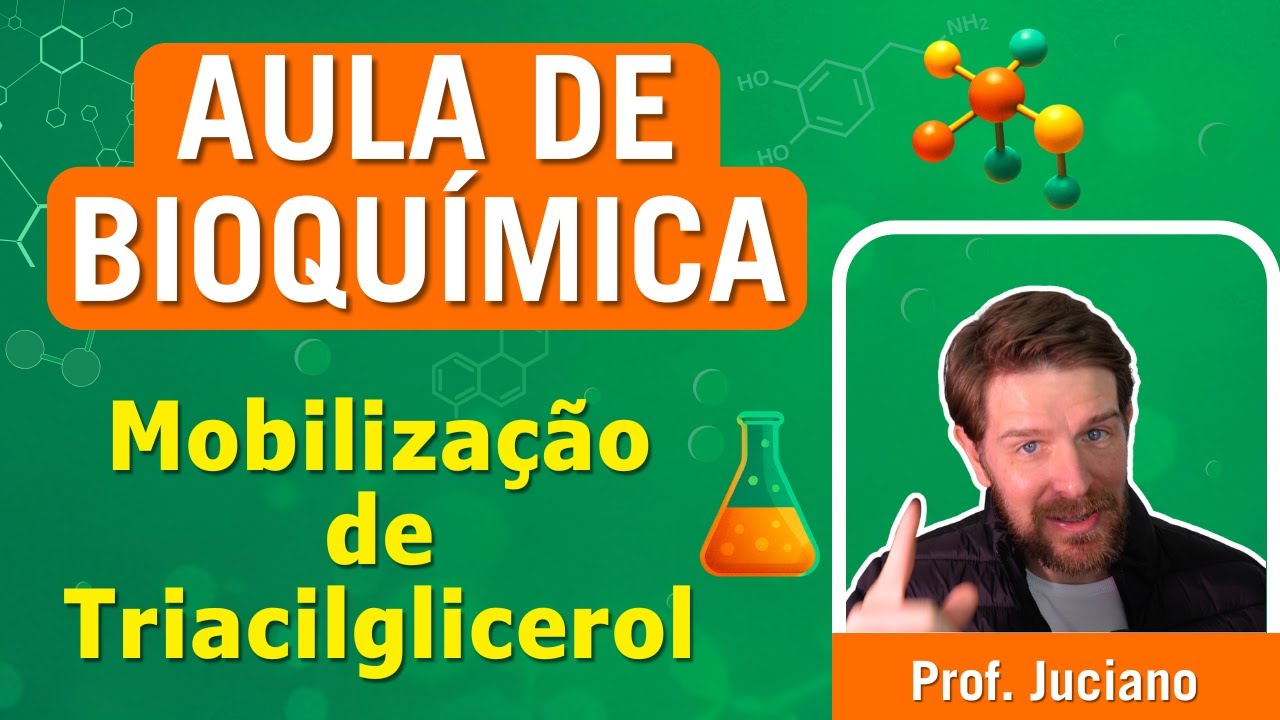 Mobilização de Triacilglicerol (Lipólise e Transporte) - Ensino Superior (aula com animações)