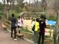 Jun Pyo & Jan Di ~The Zoo Scene