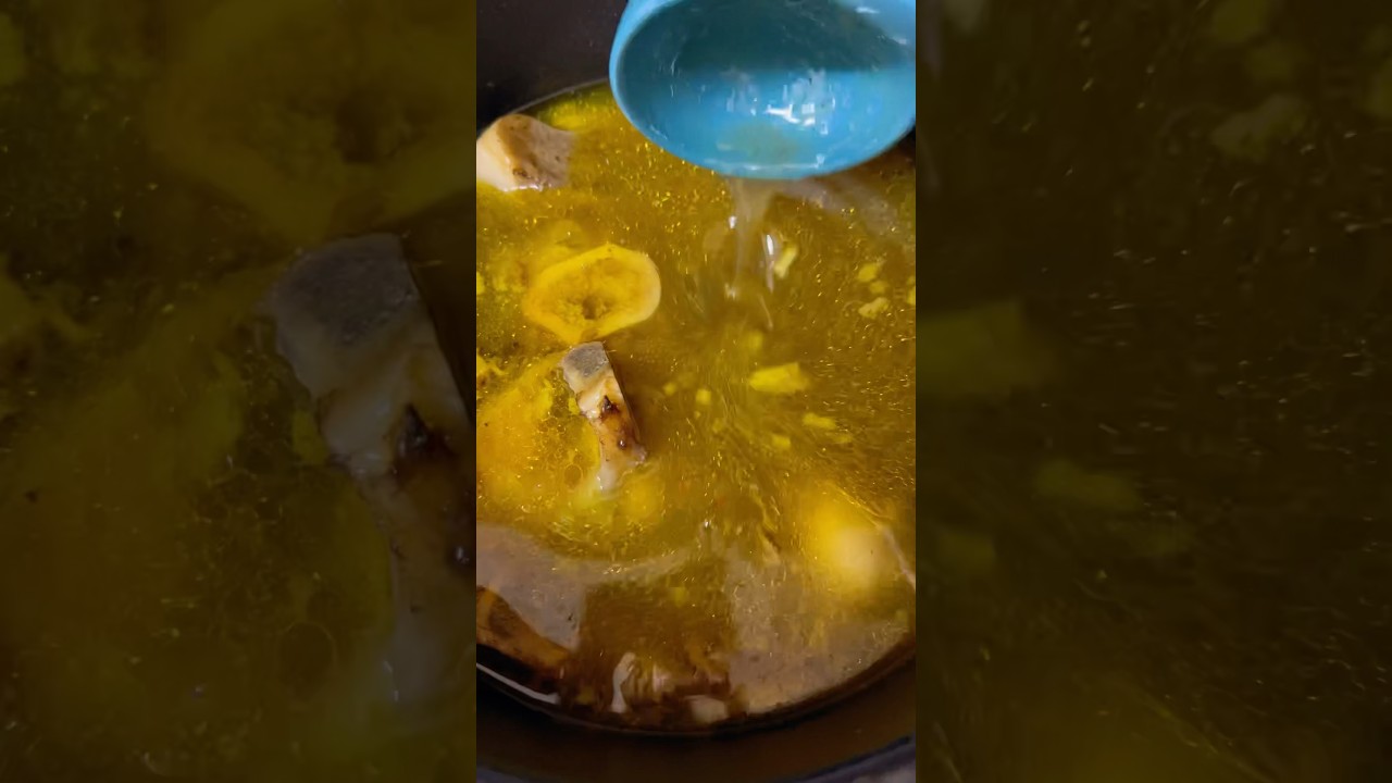 Making gelatinous beef broth and tallow🤤 