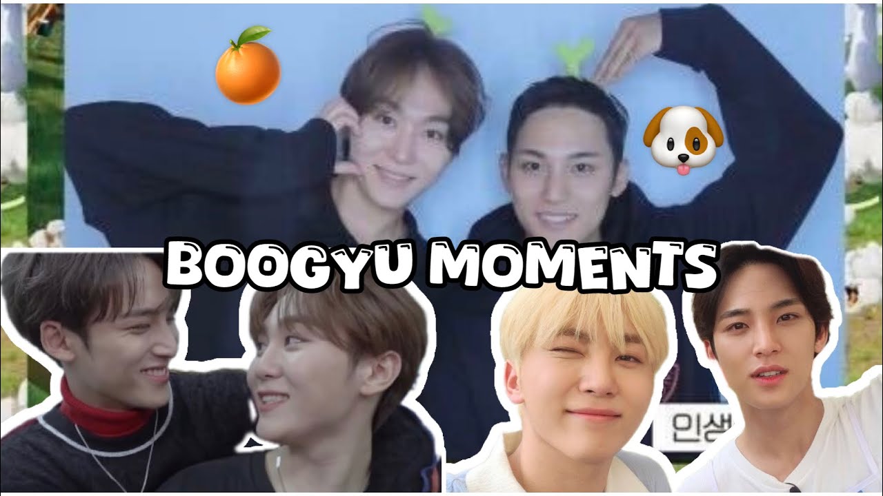 mingyu is seungkwan’s biggest fan: boogyu moments (seventeen 세븐틴)