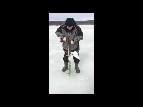 Шуруповёрт Метабо Бур Мора 150