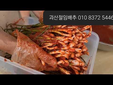 청정지역 <strong>절임배추와</strong> 김장김치 주문 받습니다